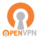 Logo VPN